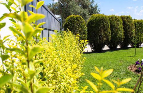 Vabel Skiathos - Foto 39