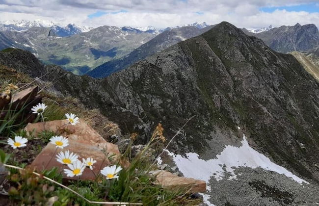 Agritur Belsogno B&B - Foto 77