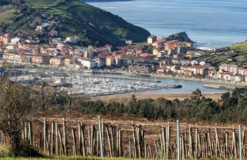 Zumaia Basque Alai - Foto 1