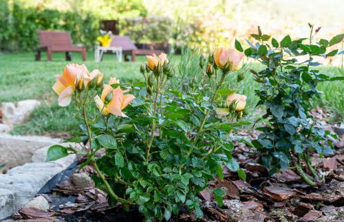 Casa Camporino - Foto 3