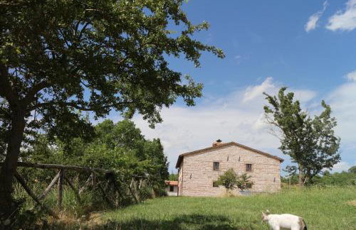 Antica Dimora Italiana - Photo 32