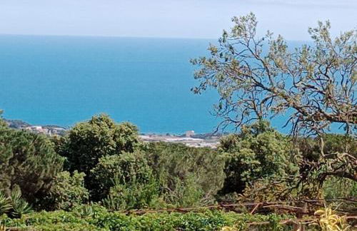 Apartamentos Can bruguera 3 - Photo 11