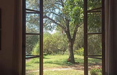 Finca SAlzinar - Foto 7