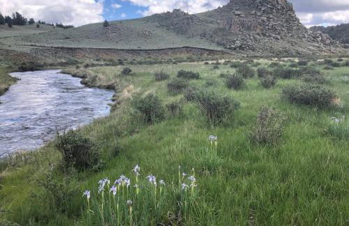 Secluded Modern Cabin On 10 Acres Tarryall Creek - Foto 18