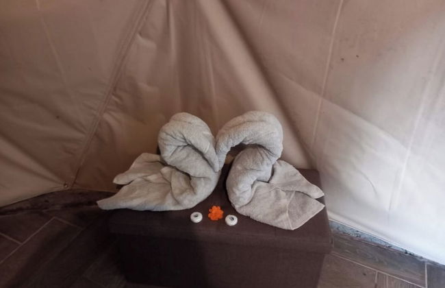 Glampling Nubes de Monteverde - Foto 53