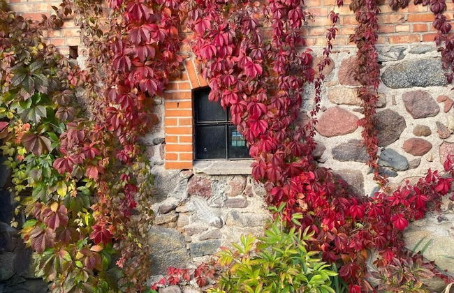 Folwark Mazurskie Legendy - Foto 47