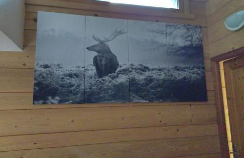 Chalet La Ferme d'Henriette, à Samoëns - Foto 48