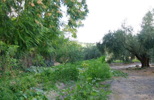 La Casería Azul de Cuadros - Foto 59