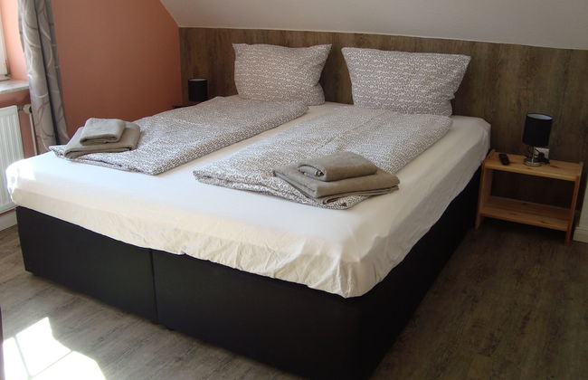 Muschelsucher - Foto 1