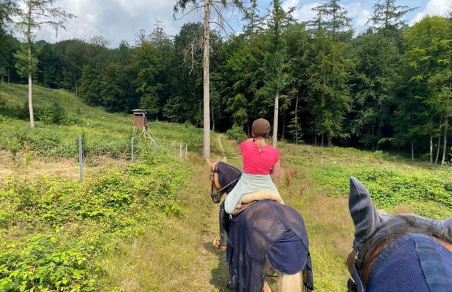 Ferienwohnung mit Sauna in Lothe - Foto 23