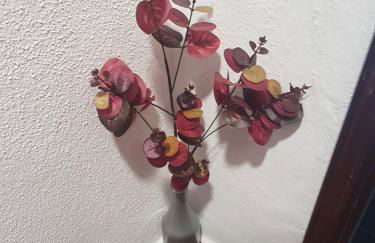 Casa dos Avós e Netos - Foto 6