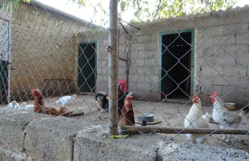 Apartments Brkić, Lozovac Krka NP with Pool - Foto 57