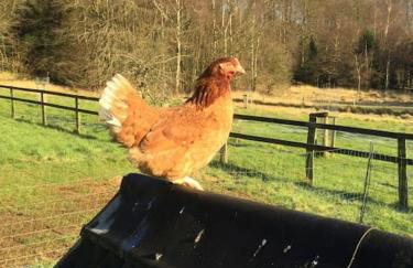 The Chairman's Retreat in The Cotswolds - Space To Relax in the Countryside - Foto 69