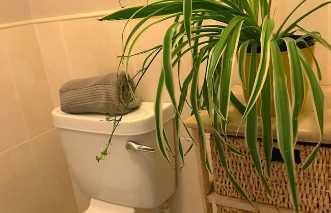 Immaculate 3-bed House With Private Secure Garden - Foto 31