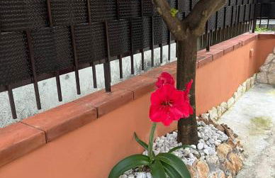 Stefy's House - Photo 10