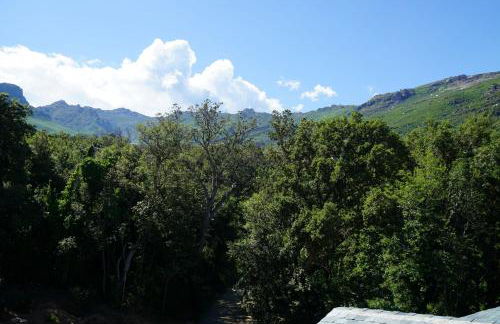 Suites in Erbalunga - Foto 14