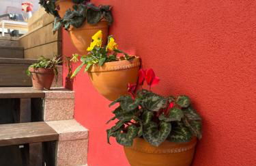 Emiliadourohouse - Foto 32