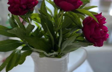 Sweet Swan House - Foto 15