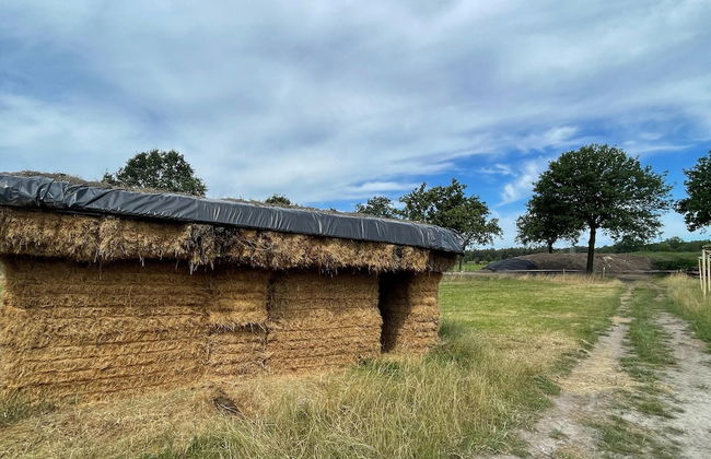 Family Farmhouse With Go-karts - Photo 21