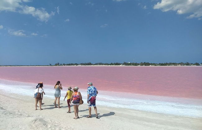 Paradiesische Tour: Las Coloradas Pink Lake und Rio Lagartos inklusive Mittagessen. - Foto 3