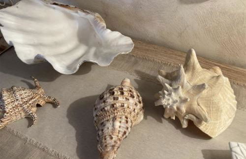 Tania Luxury Home - Borgo San Basilio Marina di Pisticci - Foto 24