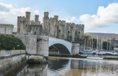 Royal Oak Farm Cottage - Foto 20