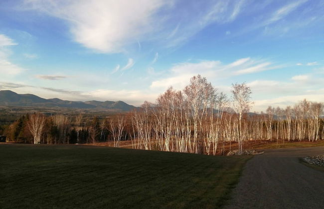 Les Trois Mentors Ghandi, Mandela, Luther King - Foto 14