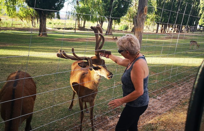 Complejo Río los Patos - Cabañas y Hostel - Photo 57