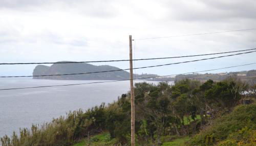 Casinha de Muda da Feteira - Photo 2