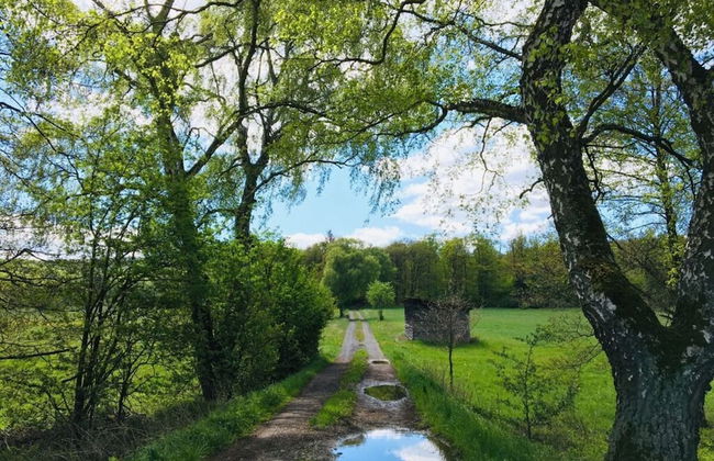 Holiday Apartment Sonnennest - Foto 34