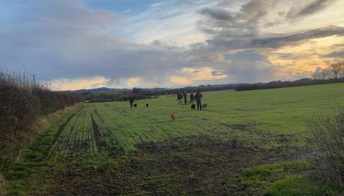 Mains of Greenlaw Cottage - Foto 2