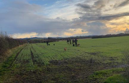 Mains of Greenlaw Cottage - Foto 2