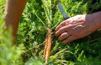 Accomodation STERMASI - Photo 55