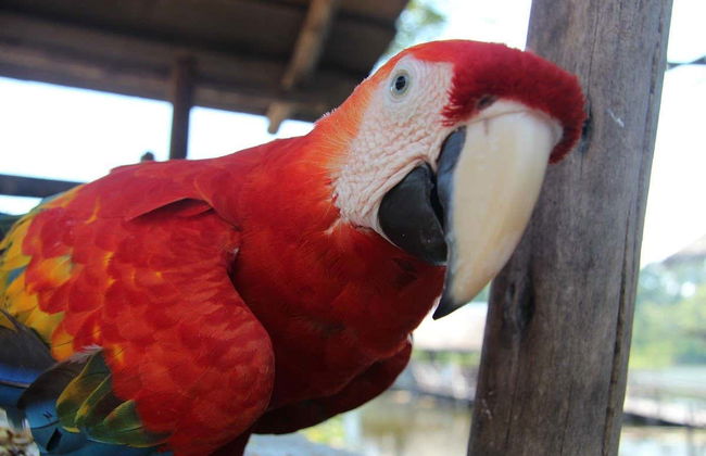 Escursione alla Riserva Naturale Marasha - Foto 2