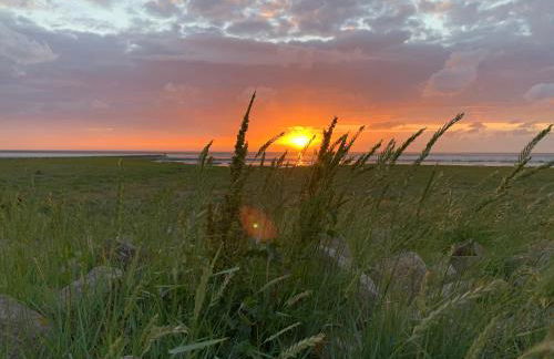 Grüne Düne Meerblick Friedrichskoog Spitze - Foto 28