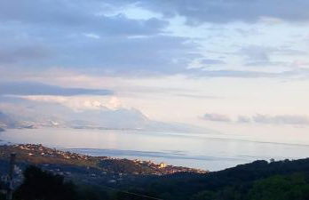 I Corbezzoli - Foto 8