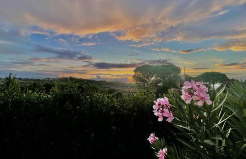 Villa Orsini Peccioli - Villa storica ad uso esclusivo con piscina - Foto 14