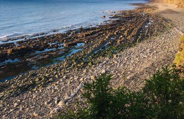 Petrock Holiday Cottages - Foto 27