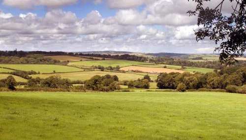 Three Gates Farm Holiday Cottages - Foto 3, Garden view
