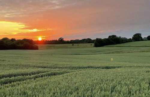 Holiday home treehouse Weissenhäuser Strand - Foto 28