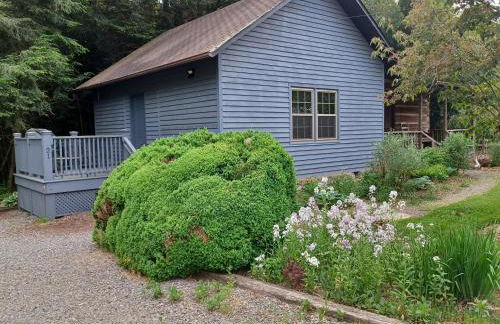 Restored1850s log cabin, with gazebo and gardens! 1 mile to downtown Weaverville - Foto 56
