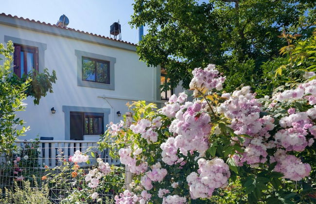 Panethimos House in Nature - Foto 29