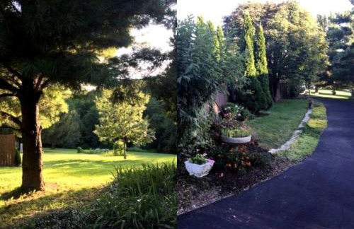 Charming Vacation Rental in a Mississippi Valley Bed and Breakfast in Elizabeth, Illinois - Foto 22