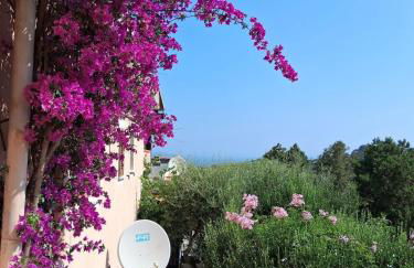 Stella Marina, Porto Rotondo - Foto 1