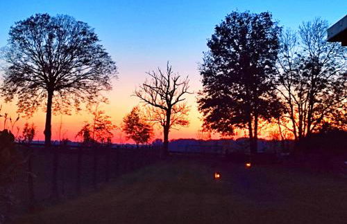 Ferienwohnung Steffenshagen - Foto 20