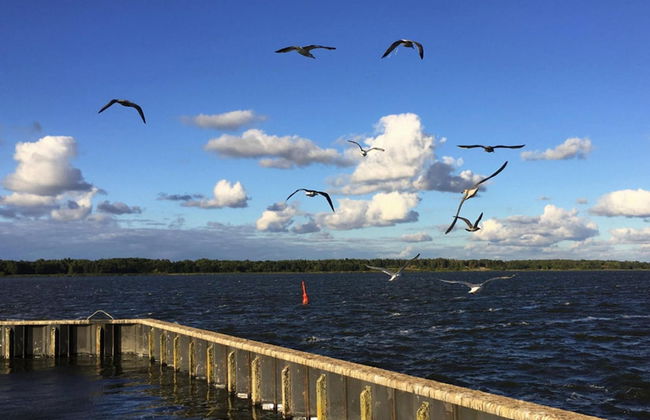 House in Ribnitz Damgarten for 3 Person - Foto 31