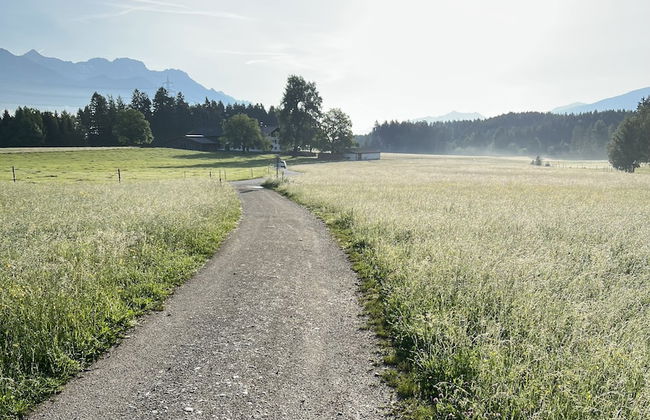 Waldchalet am Eichhof - Foto 32