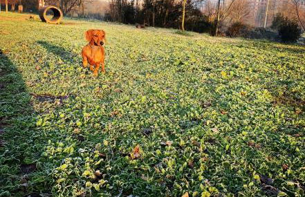 Domus La Conca - Foto 37