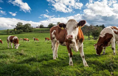 GADEN Apartment - Hotel - Photo 29