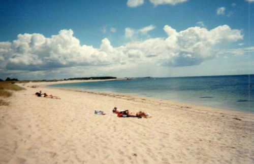 MAISON AVEC JARDIN PROCHE MER - Foto 38